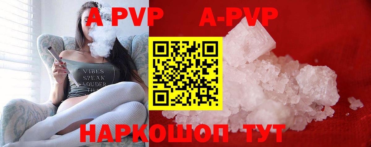 Альфа ПВП СК Туапсе